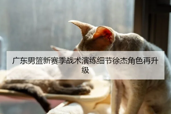 广东男篮新赛季战术演练细节徐杰角色再升级